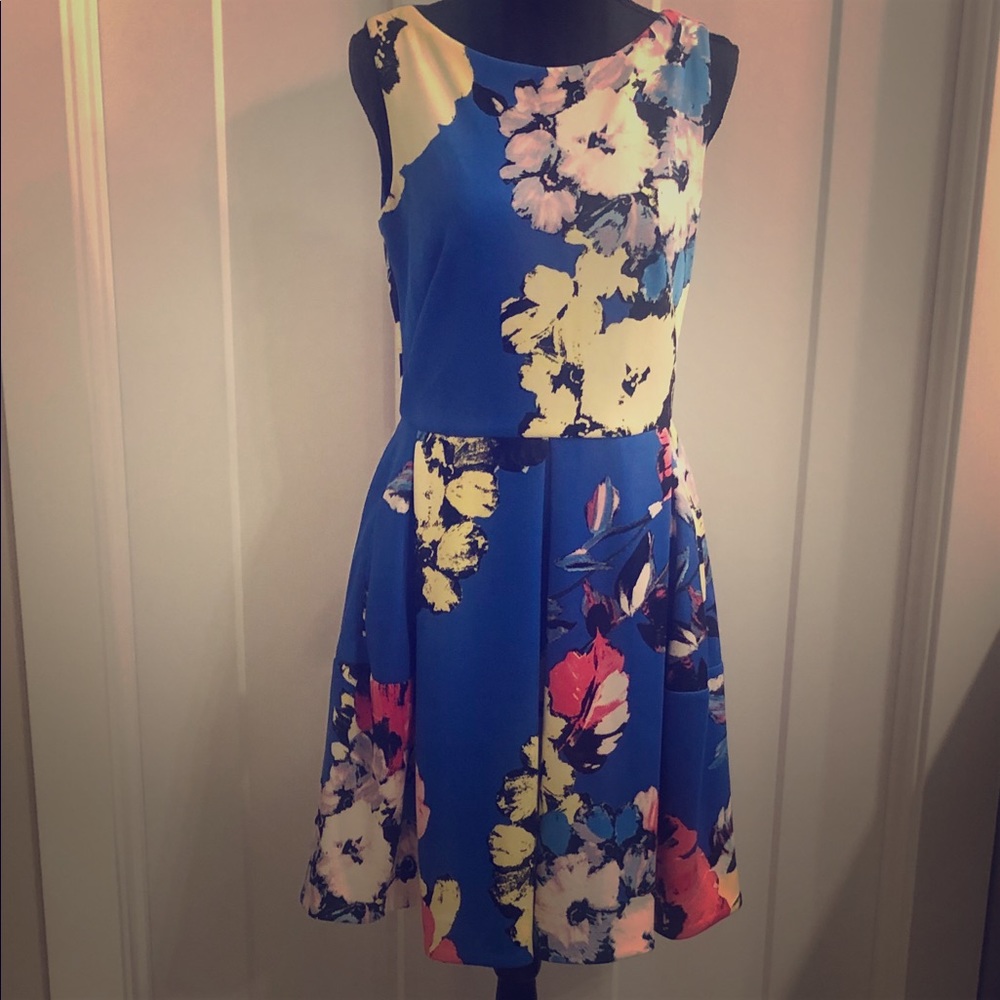 Women’s Taylor Dress